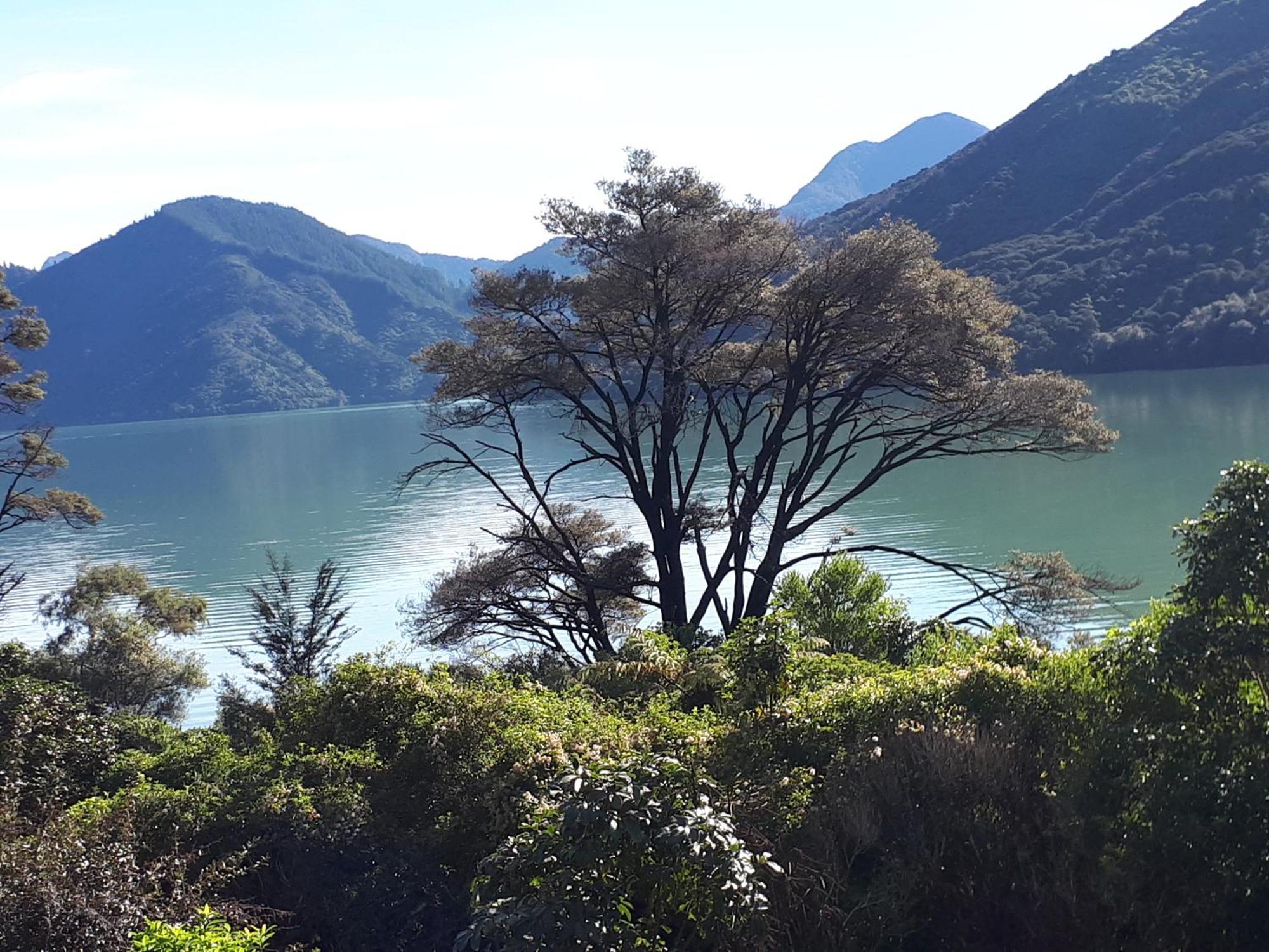 Marlborough Sounds Accommodation Havelock Exterior photo